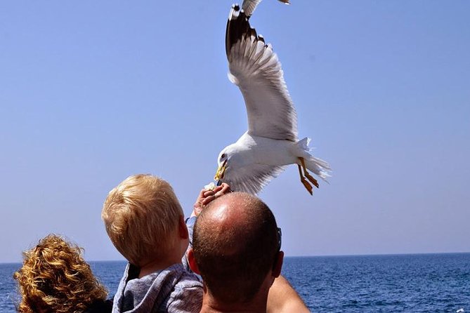 Day Cruise in the Elafiti Islands from Dubrovnik - Šipan: a quieter island pause
