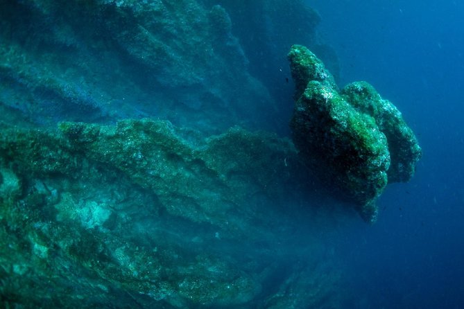 Diving day tour with 2 dives - Is $91.31 good value?