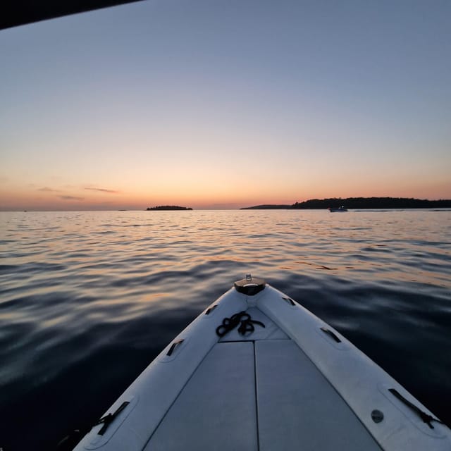 Dolphin private sunset tour Rovinj - The dolphin search and respectful viewing