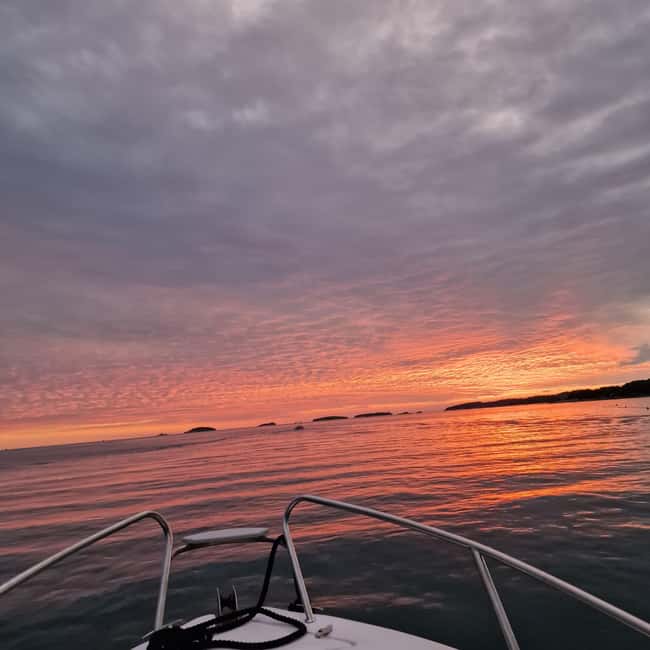 Dolphin private sunset tour Rovinj - Who should choose this experience