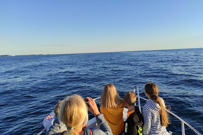 Dolphin Sunset Adventure with Speedboat - Speedboat Comfort and Sea Conditions
