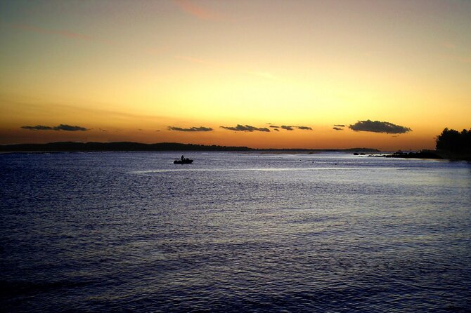 DOLPHIN WATCHING | Pula Boat - Sunset from the water