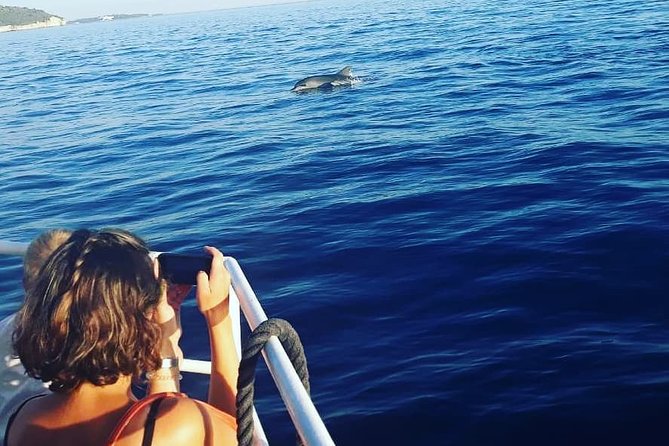 Dolphin Watching & Sunset Boat Tour With Dinner and Drinks - Dinner, drinks, and the practical side of the boat