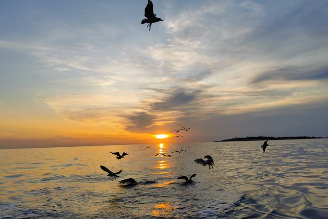 Dolphin Watching Sunset Boat Trip in Pula with Dinner - Cancellation and booking details