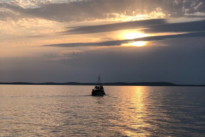 Dolphin Watching Tour – 85% Chance – Drinks & Dinner Included - Dinner on the return route