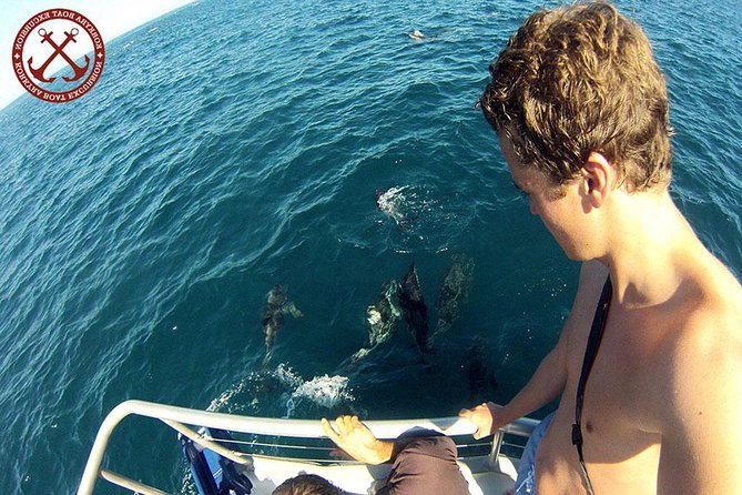 Dolphins Watching in the National Park Brijuni from Pula - Key points to know before you book