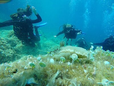 1-Day Discover Scuba Diving Course