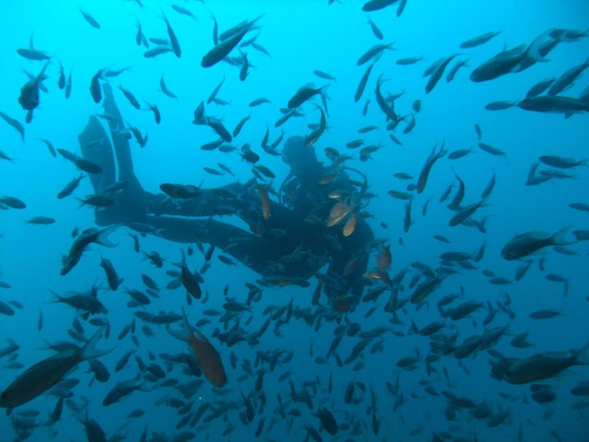 Dubrovnik: 1-Day Diving Package - Key points at a glance
