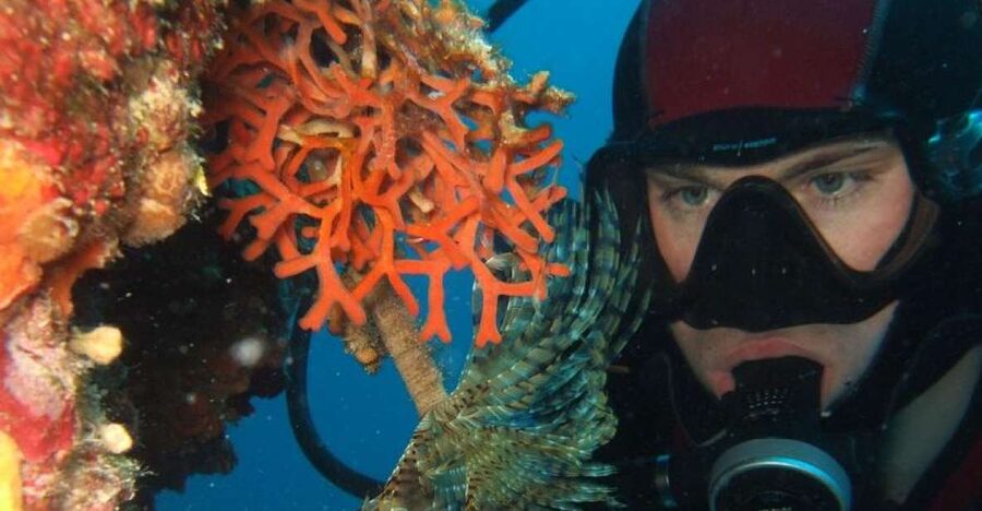 Dubrovnik: 1-Day Diving Package - Little Africa offers an easy introduction