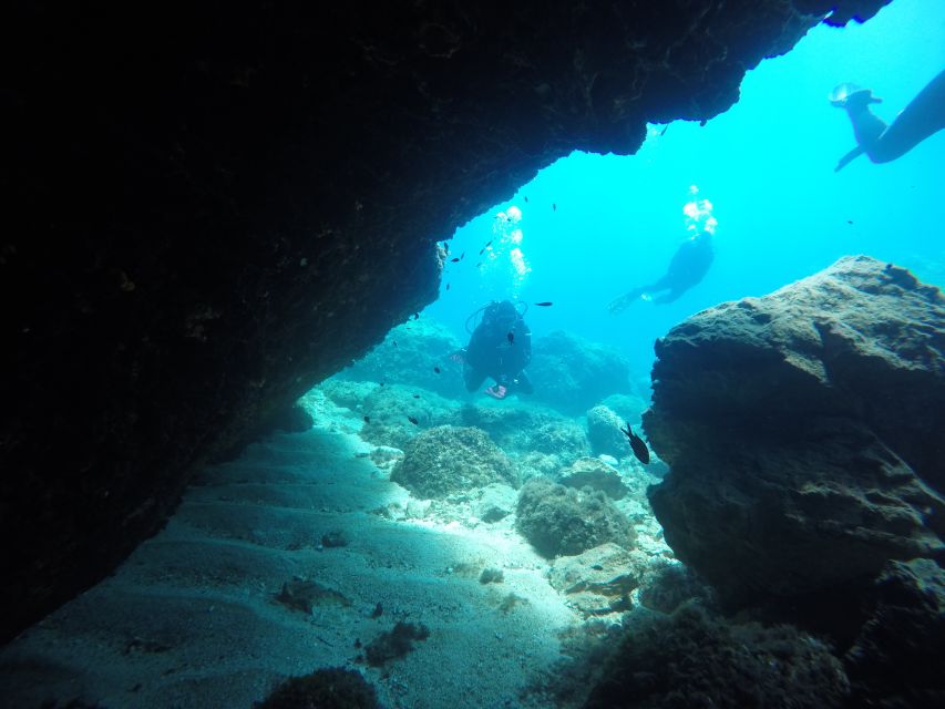 Dubrovnik: 1-Day Diving Package - The two-session timetable keeps the day manageable