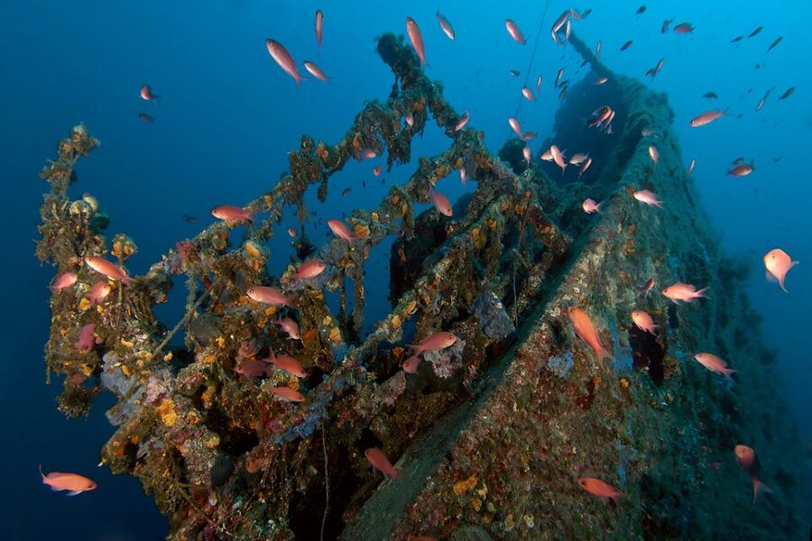 Dubrovnik: 1-Day Diving Package - A calm start at Dubrovnik Palace hotel
