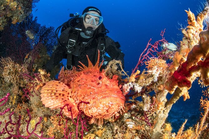 Dubrovnik 1 Dive for Certified Divers - Why the small group makes a difference