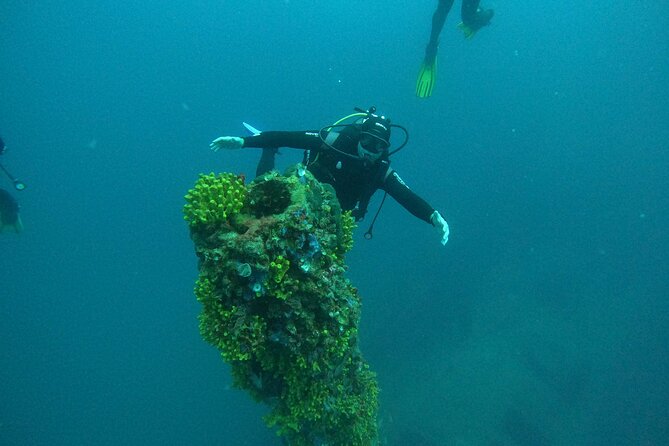 Dubrovnik 1 Dive for Certified Divers - Booking timing and weather planning