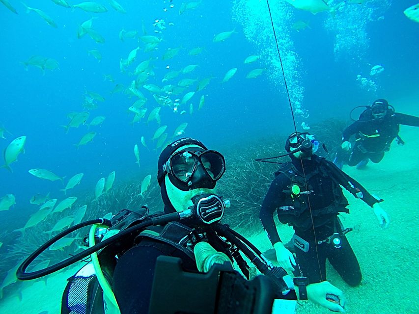 Dubrovnik 2-Hour Uncertified Divers Introductory Dive - Is two hours enough for $117?