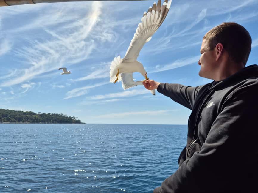Dubrovnik: 3 Island Boat Tour with Lunch and Guide - Leaving Dubrovnik from Obala Stjepana Radića