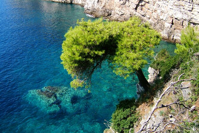 Dubrovnik: 3 Islands Boat Tour with Lunch & drinks(FR, ES, EN) - Comfort depends on how full the Triton is