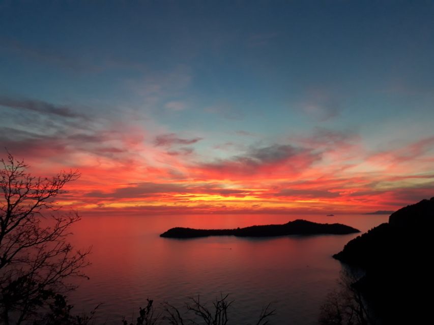 Dubrovnik: 900 Metre Superman Ziplining Adventure - Arriving at the forest starting point