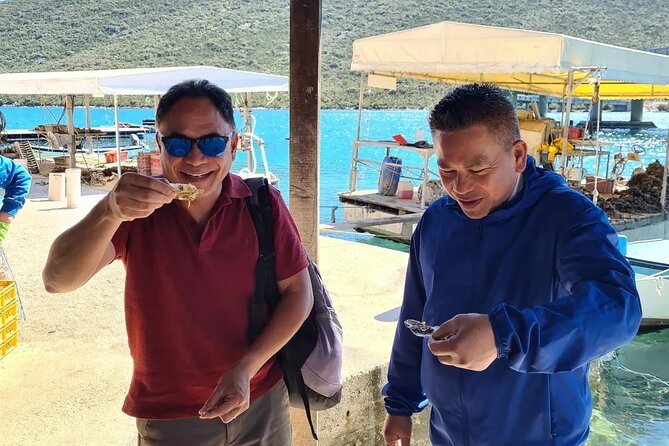Dubrovnik Airport to Split Private transfer 1-8 pax (Door to Door any location) - Ston makes the most useful optional stop