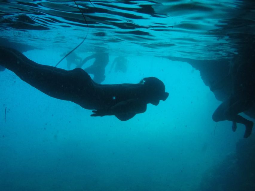 Dubrovnik: Blue Cave & Sunj Beach Boat Tour with Drinks - Key things to know before you go