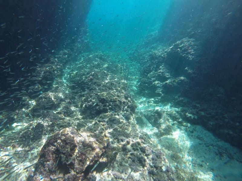 Dubrovnik: Blue Cave Tour by Speedboat with Small Group - Is $80 a fair price?