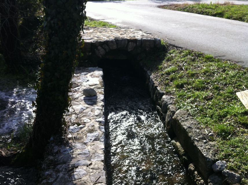 Dubrovnik: Cavtat and Konavle Half-Day Private Tour - Safety and guide quality need attention