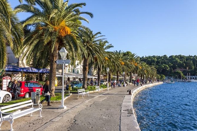 Dubrovnik Coast and Cavtat Shore Excursion - Ombla River spring and the water beyond the city