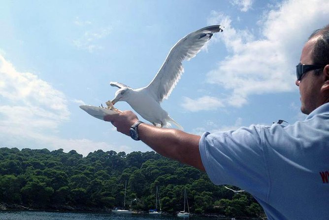 Dubrovnik Elafiti Islands Cruise with Lunch, Drinks and Pickup - Lunch on board is a major part of the value