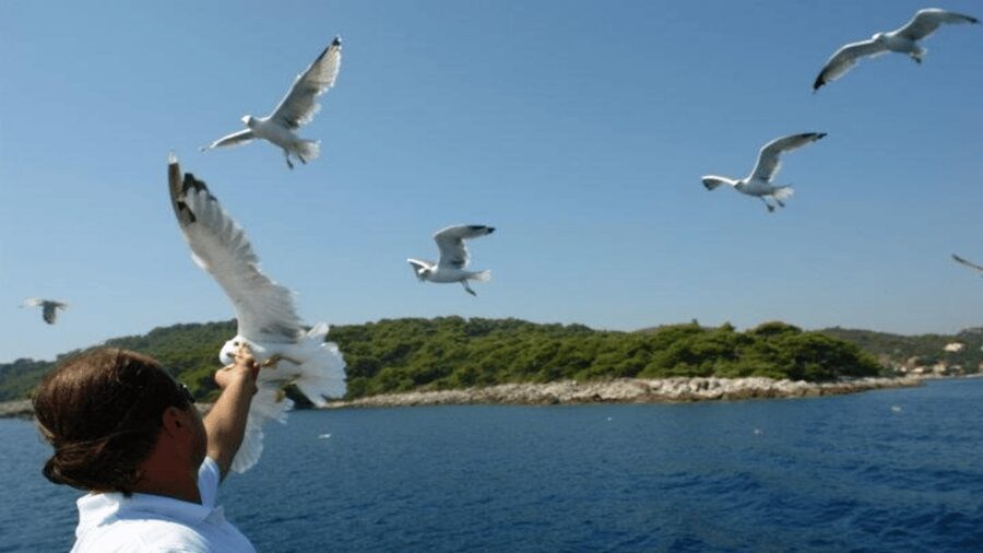 Dubrovnik: Elaphiti Islands Boat Cruise with Lunch & Drinks - Lunch, drinks, and the value of the $58 price