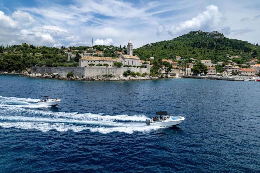 Dubrovnik: Elaphiti Islands Private Day Cruise by Speedboat - Swim stops are the heart of the experience