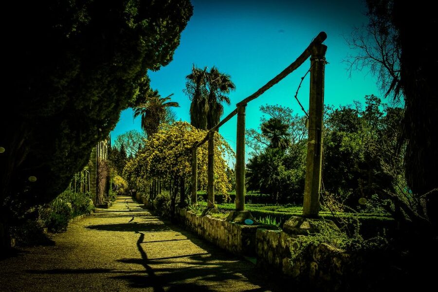 Dubrovnik: Game of Thrones Complete Tour - Trsteno Arboretum, the Red Keep gardens