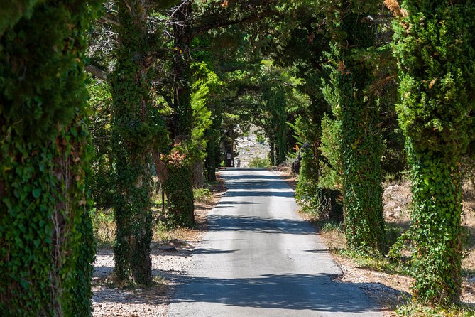 Dubrovnik Game of Thrones Driving Tour - What the guide adds to the experience