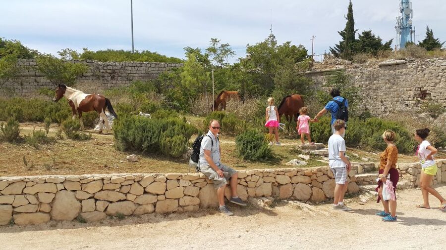 Dubrovnik: Game of Thrones Locations Driving Tour - Why this three-hour tour works for Game of Thrones fans