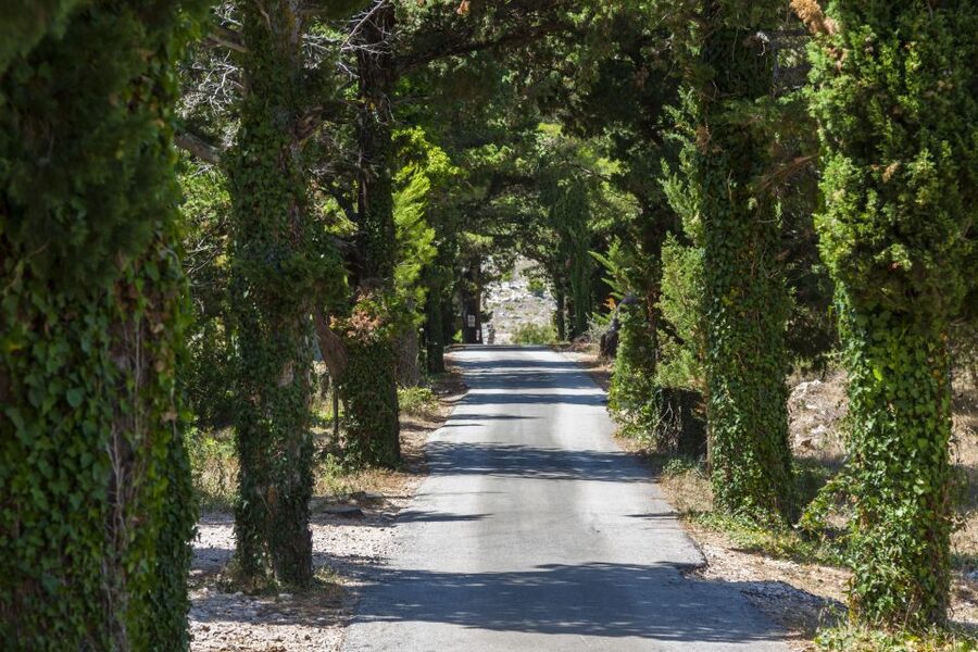 Dubrovnik: Game of Thrones Locations Driving Tour - The King’s Road to Mount Srd