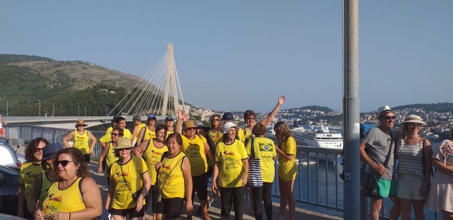 Dubrovnik: Guided Sightseeing Tour by Minivan - Srđ summit views without the cable-car wait
