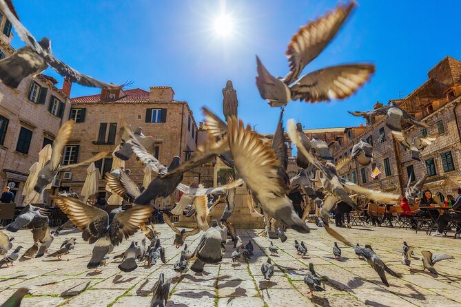Dubrovnik Guided Tour & Free Time From Makarska Riviera - Why Dubrovnik works as a long day trip