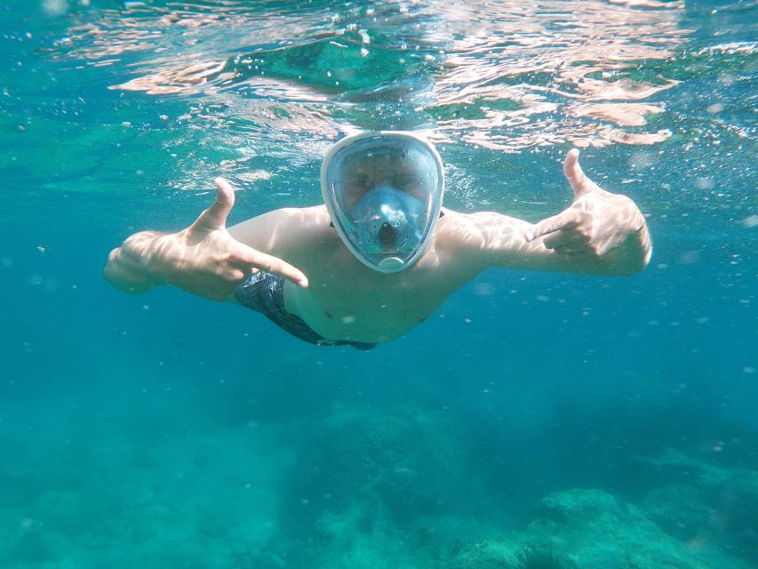 Dubrovnik: Half-Day Private Boat Trip to Elafiti Islands - Starting at Gruž Harbour