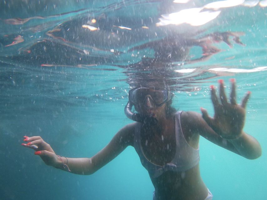 Dubrovnik: Half-Day Private Boat Trip to Elafiti Islands - What is included for the $577 group price