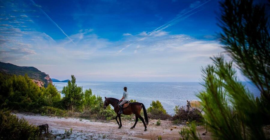 Dubrovnik Kojan Koral: Horseback Riding - Key points to know before booking