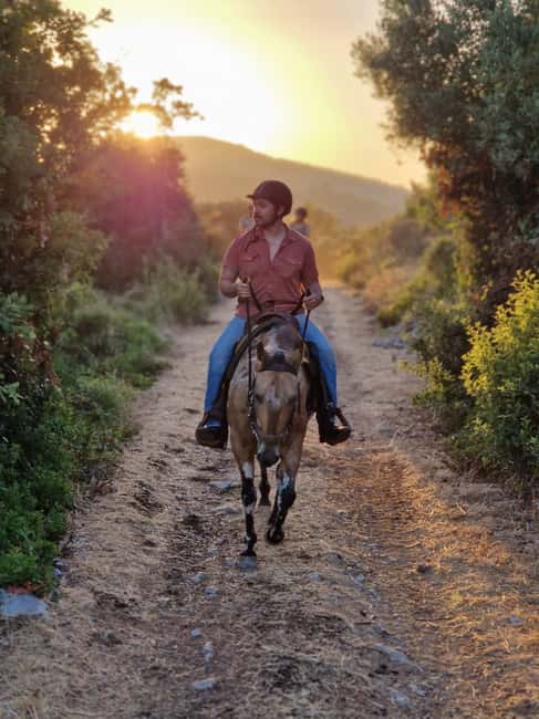 Dubrovnik Kojan Koral: Horseback Riding - Leaving Dubrovnik for the Konavle Valley