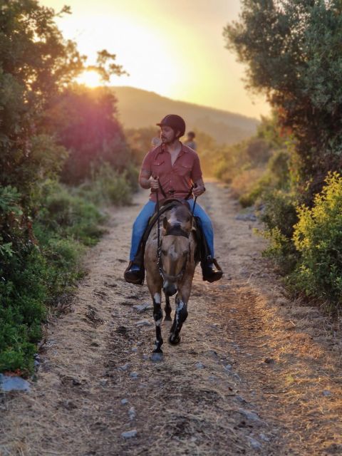 Dubrovnik Kojan Koral: Horseback Riding - Two hours through woodland trails