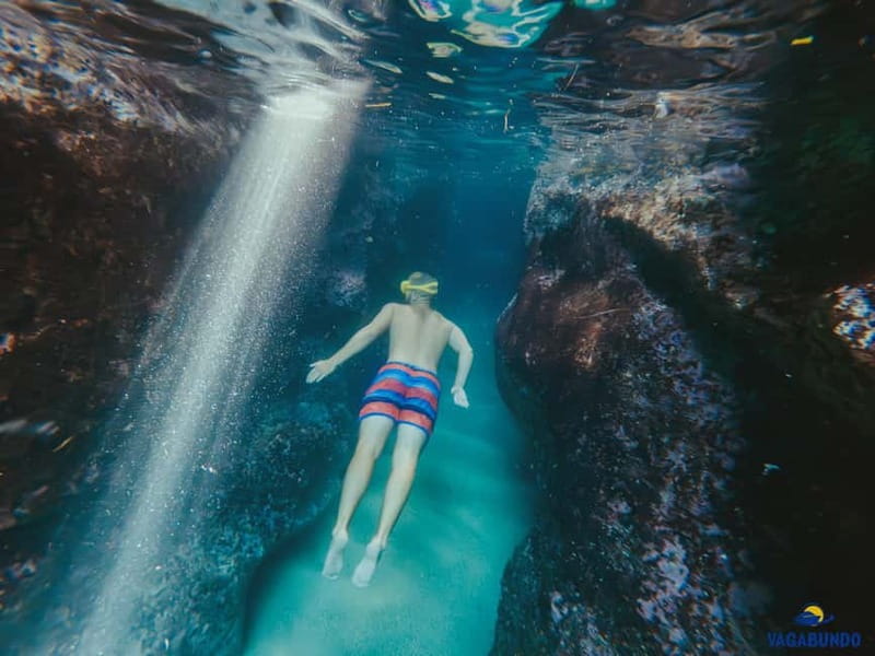 Dubrovnik: Morning Blue Cave speedboat tour with drinks - Blue Cave at Koločep Island
