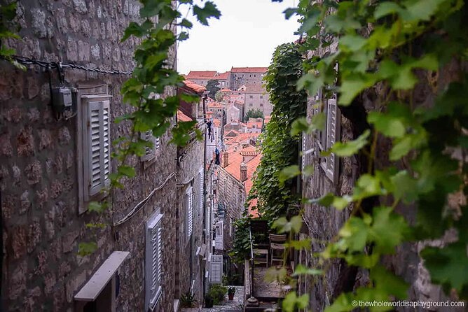 Dubrovnik Old Town Food Tour: Small-Group Experience - Main courses bring black risotto and local pasta