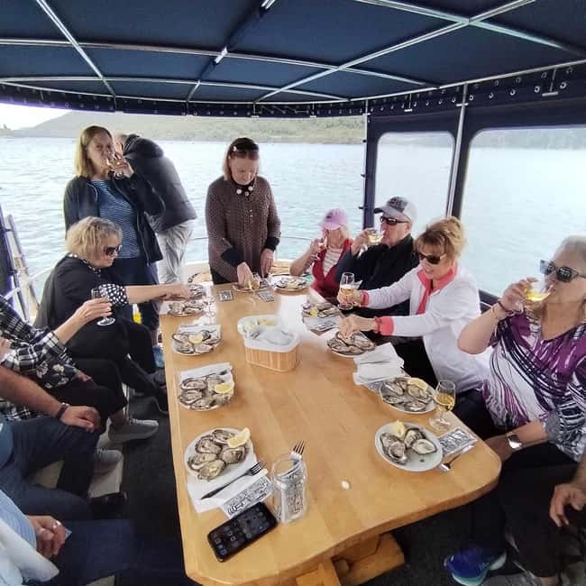 Dubrovnik: Oyster, Mussles, and Wine Tasting Tour in Ston - Who should book this experience?
