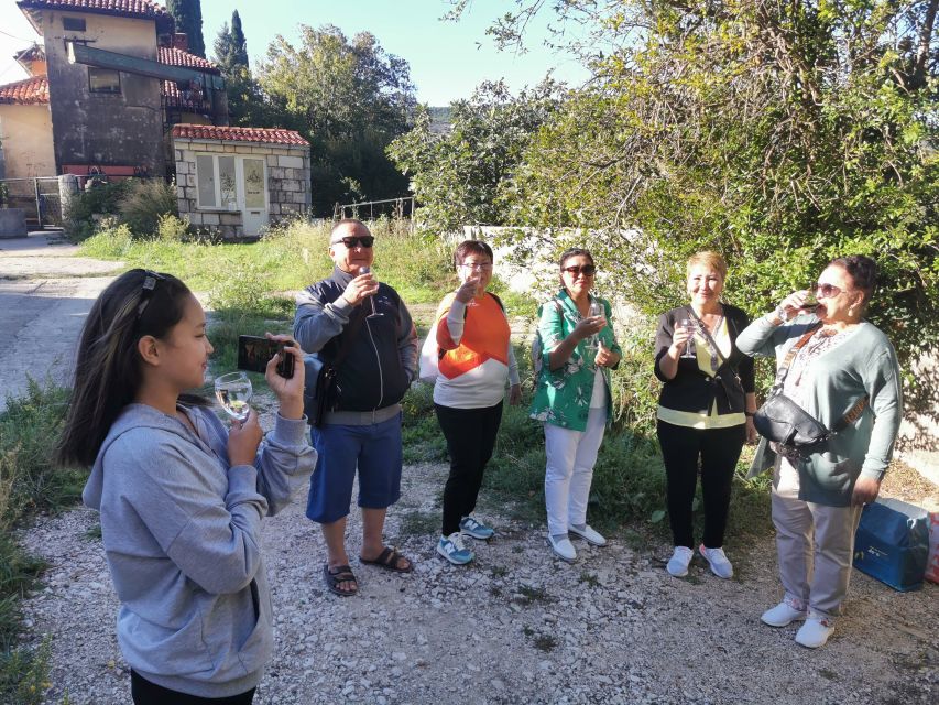 Dubrovnik: Panorama Tour with Free Time in the Old Town - A private van and flexible guide make the route easier