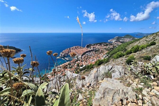 Dubrovnik Panoramic Sightseeing Tour with Guide (minivan) - Ombla spring: a quiet green pause