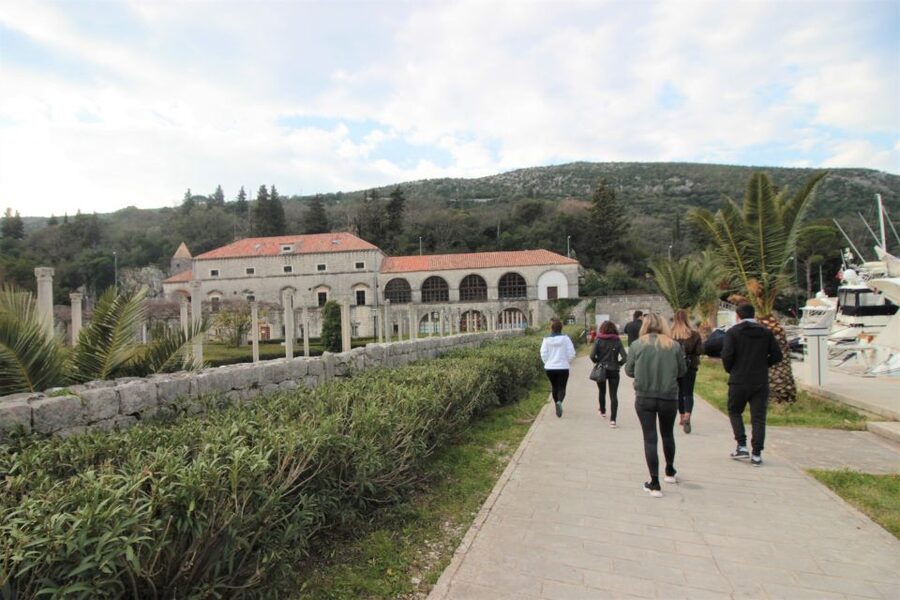Dubrovnik: Private Cooking Experience with Wine Tasting - What $995 means for a private group of four