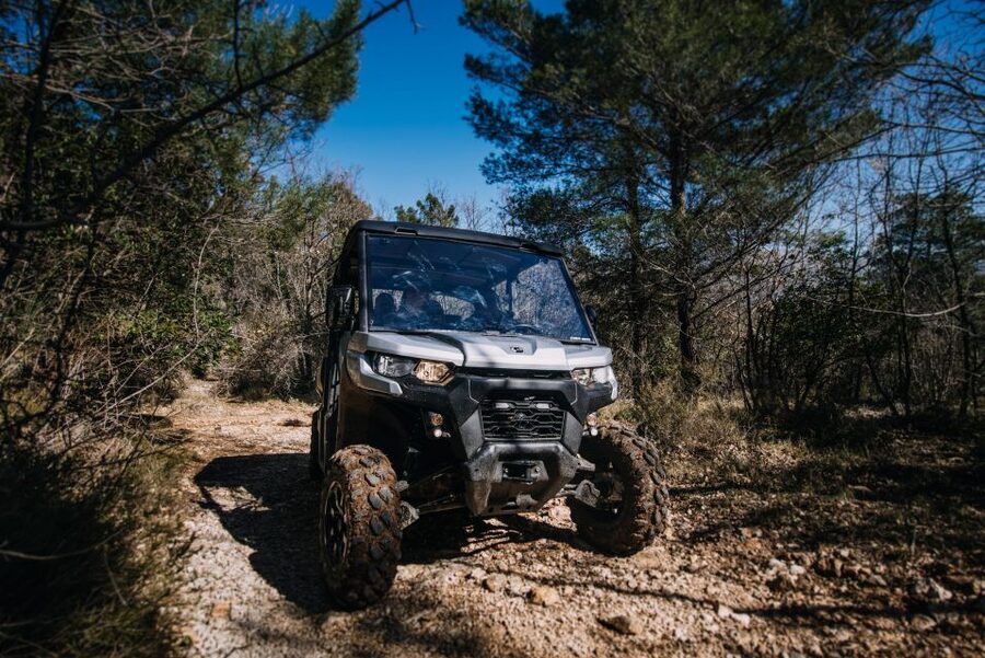 Dubrovnik: Private Panoramic Half-Day Buggy Tour with Brunch - How much local insight you receive