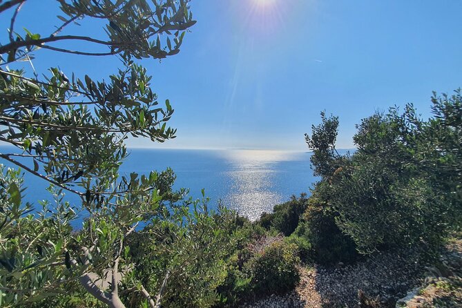 Dubrovnik Private Wine Tasting Tour to Peljesac Peninsula - Why this private Dubrovnik wine tour works well
