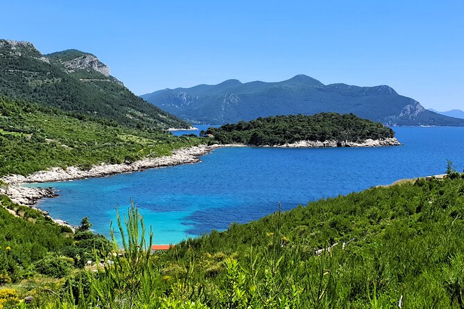 Dubrovnik Private Wine Tasting Tour to Peljesac Peninsula - A family cellar at Ćurlin Winery