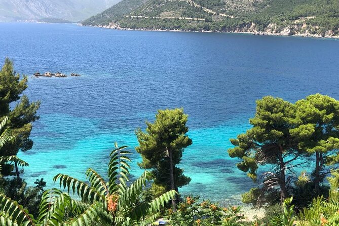 Dubrovnik Private Wine Tasting Tour to Peljesac Peninsula - Ston’s walls, oysters, salt, and cake
